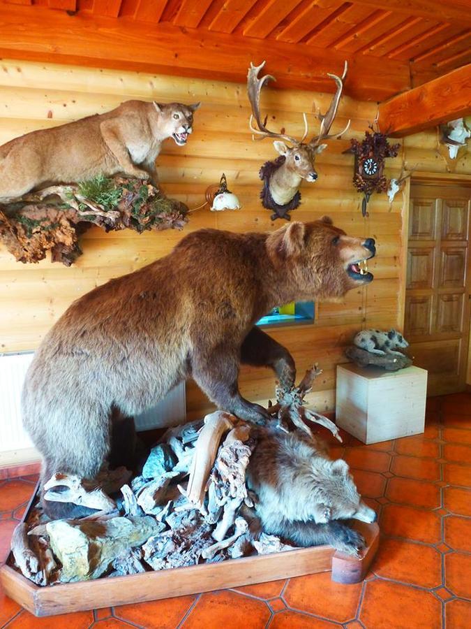 Pension Grizzly Ludvikov Ngoại thất bức ảnh